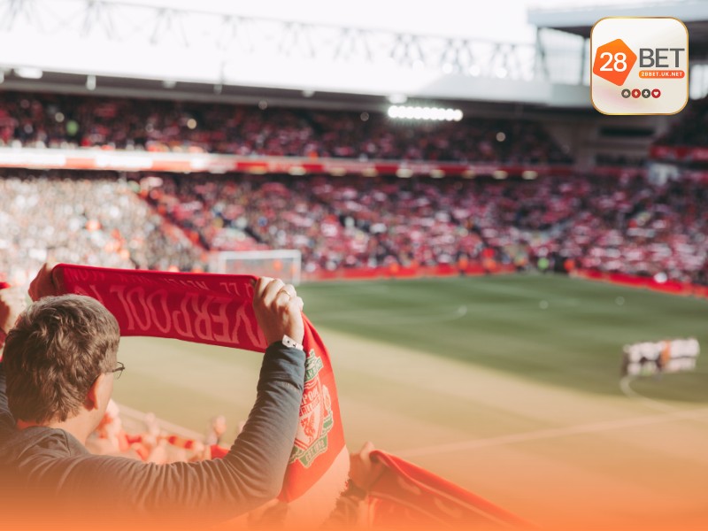 Hướng dẫn cách đọc các loại kèo nhà cái phổ biến nhất